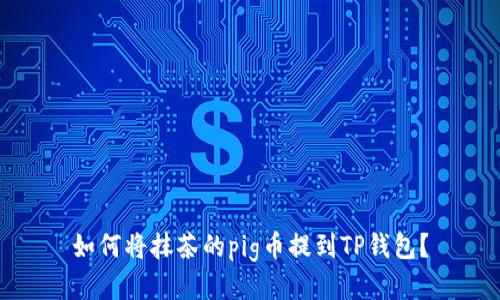 如何将抹茶的pig币提到TP钱包?