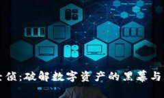 虚拟币经侦：破解数字资产的黑幕与监管重构