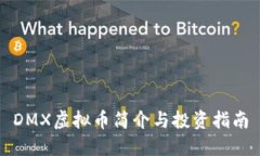 DMX虚拟币简介与投资指南