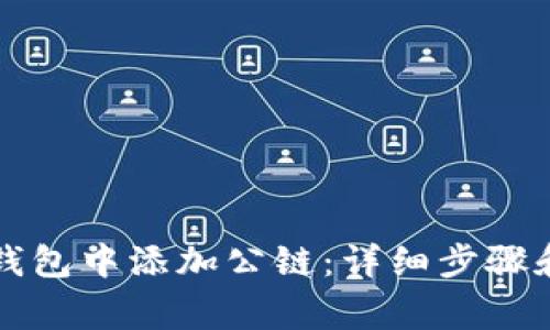 如何在TP钱包中添加公链：详细步骤和注意事项