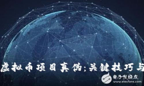 如何辨别虚拟币项目真伪:关键技巧与实用指南