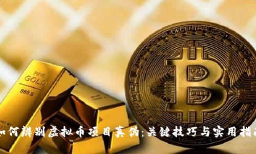 如何辨别虚拟币项目真伪:关键技巧与实用指南