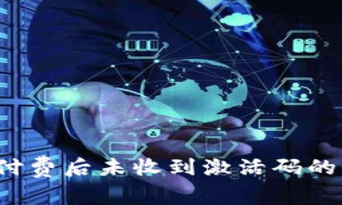 TP钱包付费后未收到激活码的解决方案