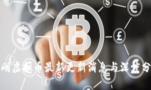 金刚虚拟币最新更新消息与深度分析