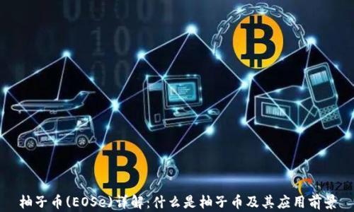 柚子币(EOSe)详解:什么是柚子币及其应用前景