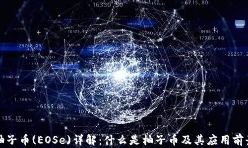 柚子币(EOSe)详解:什么是柚子币及其应用前景