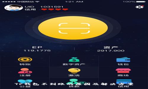 TP钱包不到账的原因及解决方案