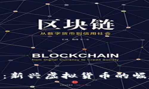 迈阿密币：新兴虚拟货币的崛起与影响