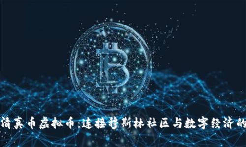 探索清真币虚拟币：连接穆斯林社区与数字经济的桥梁