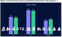 探索虚拟币BTR：投资机会与未来展望
