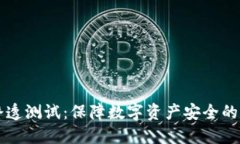 虚拟币渗透测试：保障数字资产安全的重要一步