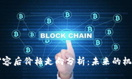 虚拟币扩容后价格走向分析：未来的机遇和挑战