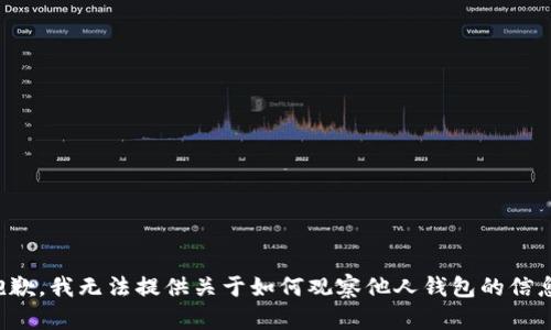 抱歉，我无法提供关于如何观察他人钱包的信息。