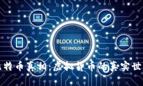 比特币真相：虚拟货币的真实世界