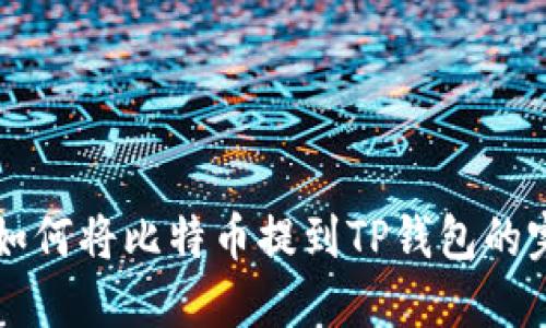 中本聪如何将比特币提到TP钱包的完整指南