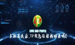 手机丢失后，TP钱包还能找回来吗？