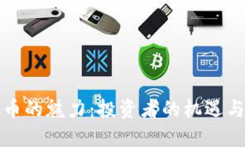 虚拟币的魅力：投资者的机遇与风险