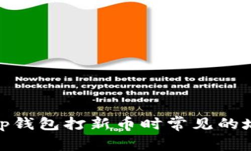 深度解析：t p钱包打新币时常见的坑与应对策略