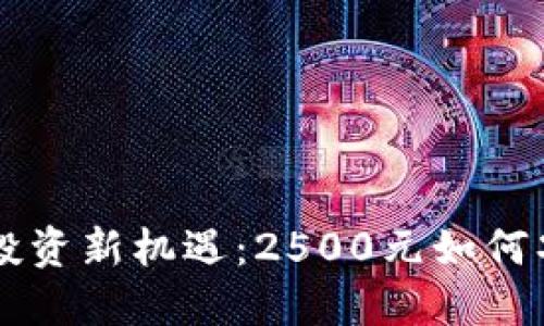 虚拟币投资新机遇：2500元如何巧妙布局