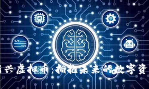 新兴虚拟币：拥抱未来的数字资产