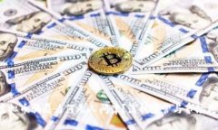  虚拟币骗局为何无人问津？浅析监管与市场失衡