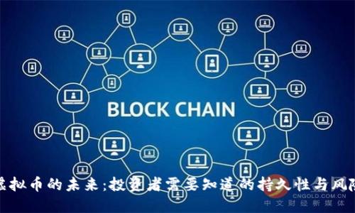 虚拟币的未来：投资者需要知道的持久性与风险