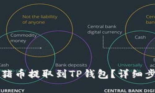 如何将猪币提取到TP钱包？详细步骤解析