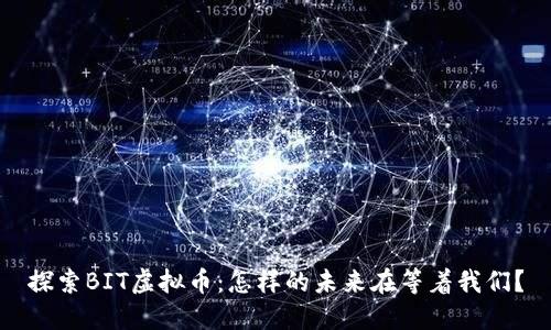探索BIT虚拟币：怎样的未来在等着我们？