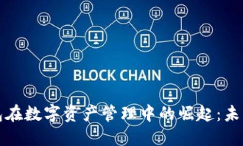 TP钱包在数字资产管理中的崛起：未来畅想