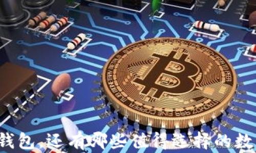 
除了TP钱包，还有哪些值得选择的数字钱包？