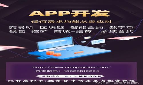 比特虚拟币：数字货币的未来与投资机遇