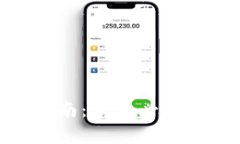 BCX虚拟币下载指南：新手必知的操作与注意事项