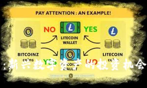 花椒虚拟币：新兴数字资产的投资机会与风险分析