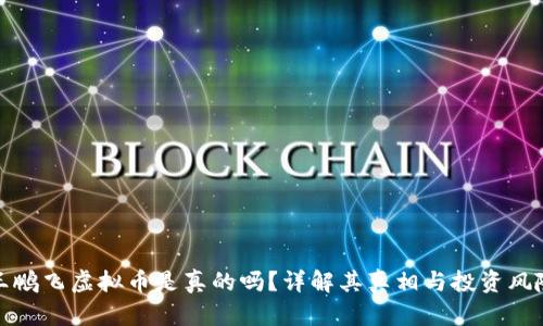 王鹏飞虚拟币是真的吗？详解其真相与投资风险