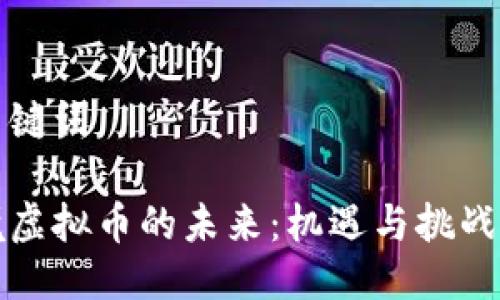 与关键词

跨境虚拟币的未来：机遇与挑战分析