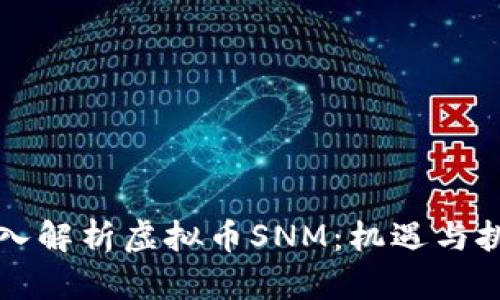 深入解析虚拟币SNM：机遇与挑战